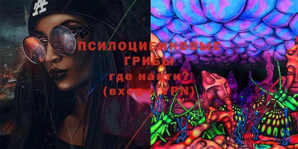 дурь Каменка