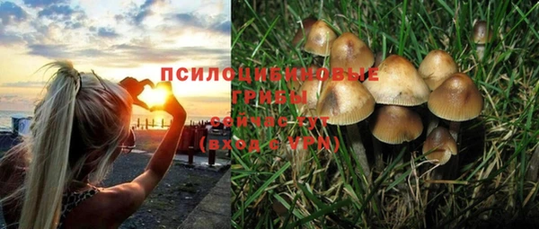 герыч Каменногорск