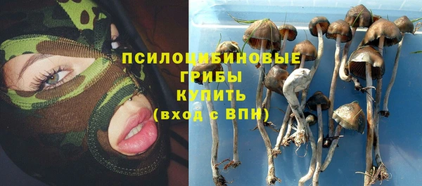 дурь Каменка
