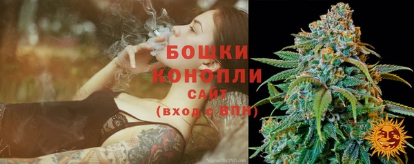 дурь Каменка