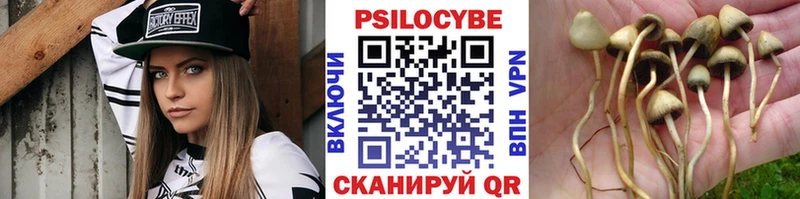 Псилоцибиновые грибы мицелий  Купить закладки  Донецк 